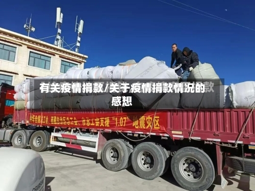 有关疫情捐款/关于疫情捐款情况的感想
