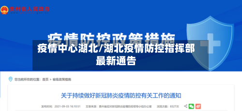 疫情中心湖北/湖北疫情防控指挥部最新通告