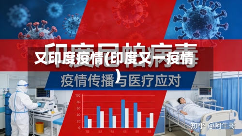 又印度疫情(印度又一疫情)