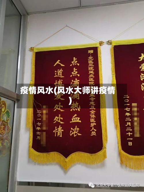 疫情风水(风水大师讲疫情)