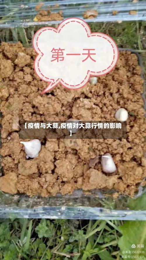 【疫情与大蒜,疫情对大蒜行情的影响】