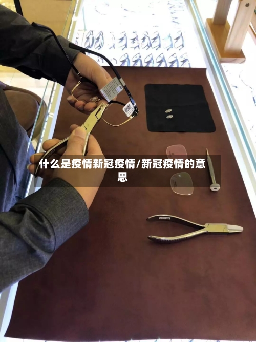 什么是疫情新冠疫情/新冠疫情的意思