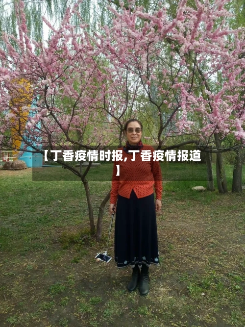 【丁香疫情时报,丁香疫情报道】