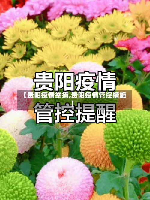 【贵阳疫情举措,贵阳疫情管控措施】