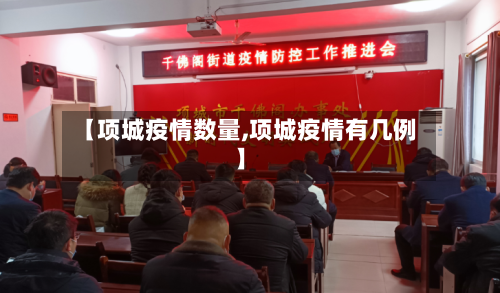【项城疫情数量,项城疫情有几例】