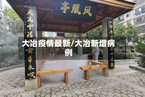大冶疫情最新/大冶新增病例