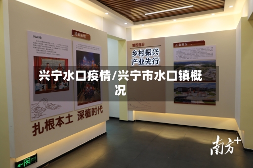 兴宁水口疫情/兴宁市水口镇概况