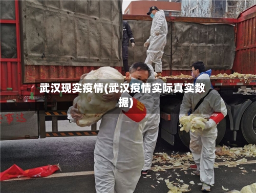 武汉现实疫情(武汉疫情实际真实数据)