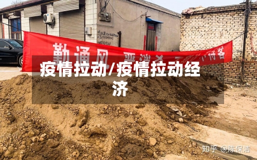 疫情拉动/疫情拉动经济