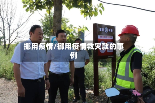 挪用疫情/挪用疫情救灾款的事例
