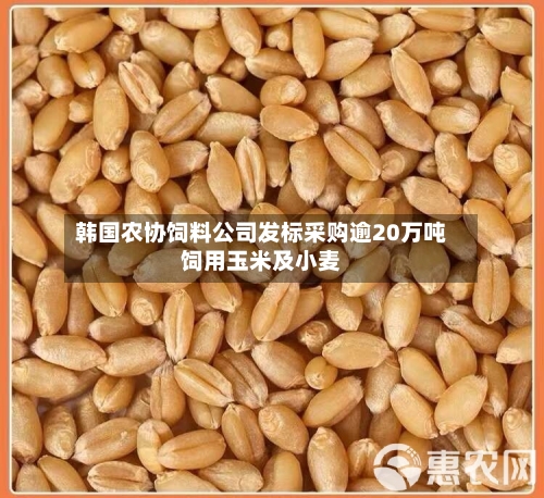 韩国农协饲料公司发标采购逾20万吨饲用玉米及小麦