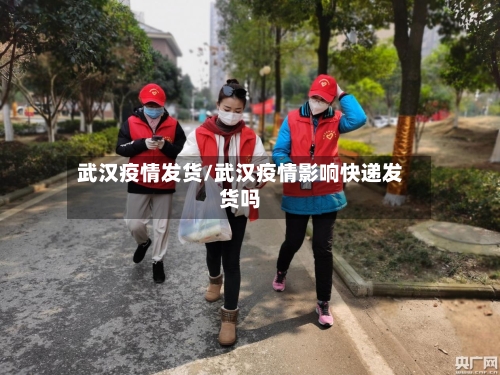 武汉疫情发货/武汉疫情影响快递发货吗