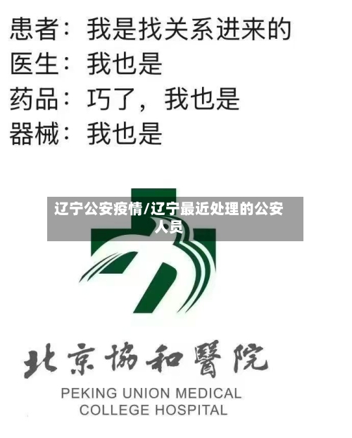 辽宁公安疫情/辽宁最近处理的公安人员