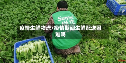 疫情生鲜物流/疫情期间生鲜配送困难吗