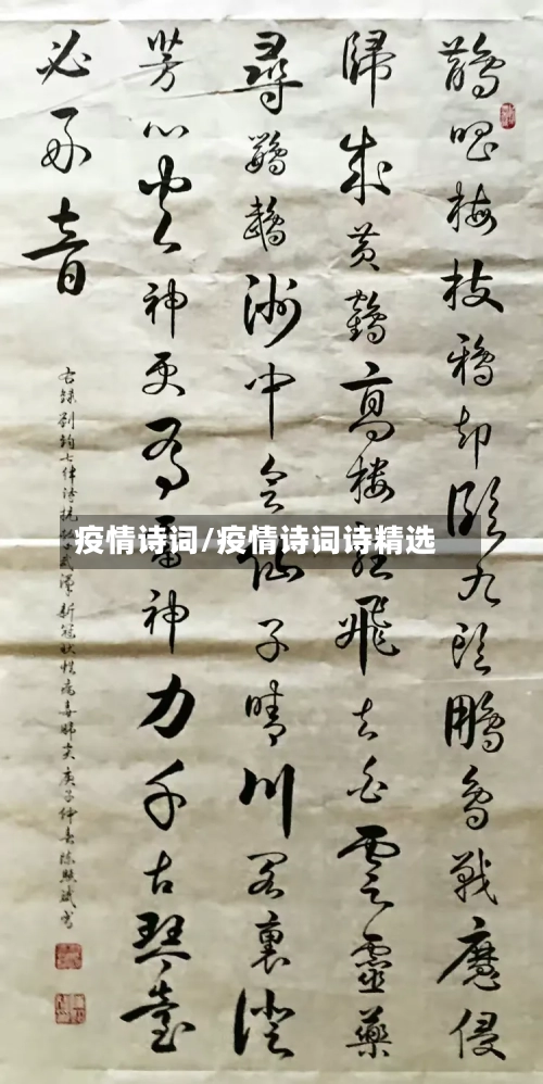 疫情诗词/疫情诗词诗精选