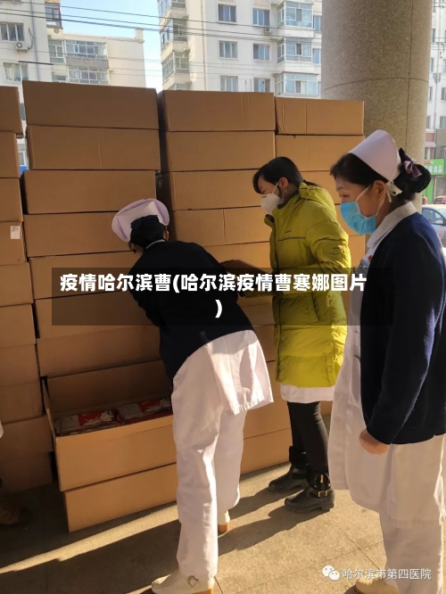 疫情哈尔滨曹(哈尔滨疫情曹寒娜图片)