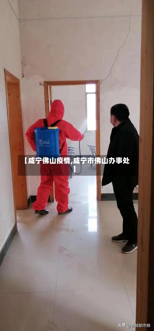 【咸宁佛山疫情,咸宁市佛山办事处】