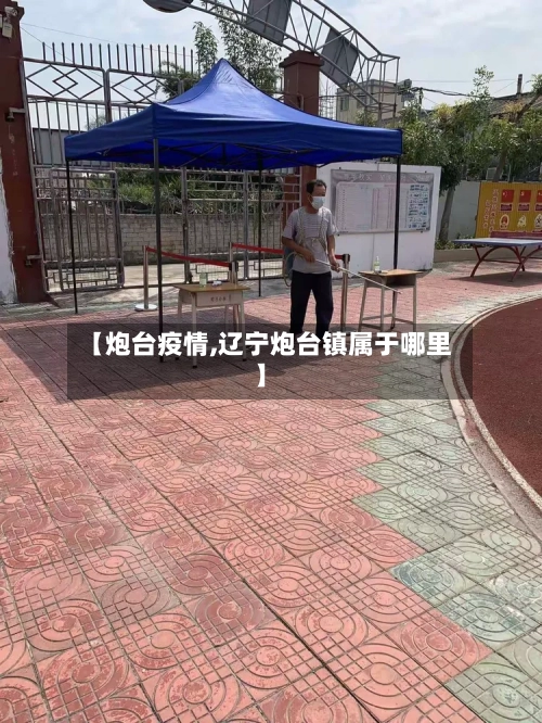 【炮台疫情,辽宁炮台镇属于哪里】
