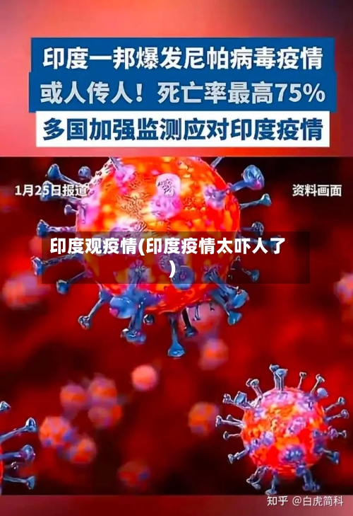 印度观疫情(印度疫情太吓人了)