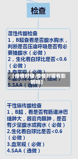 【疫情对猫,疫情对猫有影响吗】
