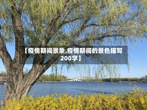 【疫情期间景象,疫情期间的景色描写200字】