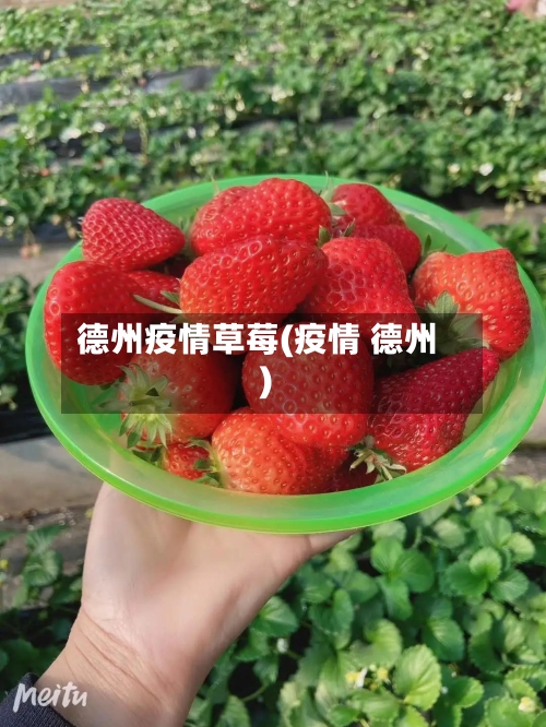 德州疫情草莓(疫情 德州)
