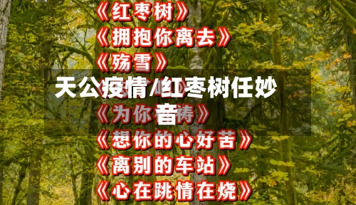 天公疫情/红枣树任妙音