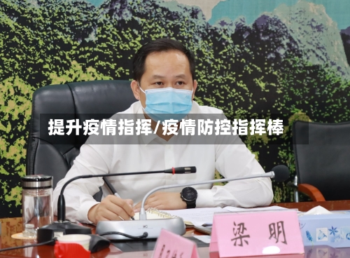 提升疫情指挥/疫情防控指挥棒