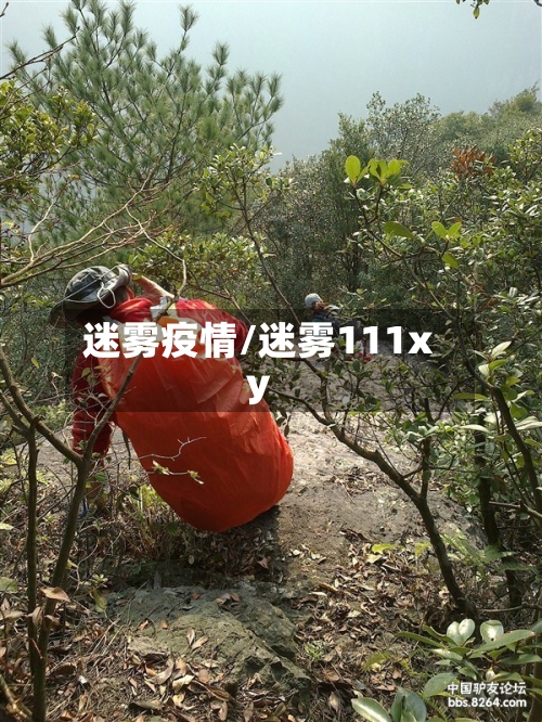 迷雾疫情/迷雾111xy