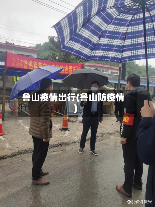 鲁山疫情出行(鲁山防疫情)