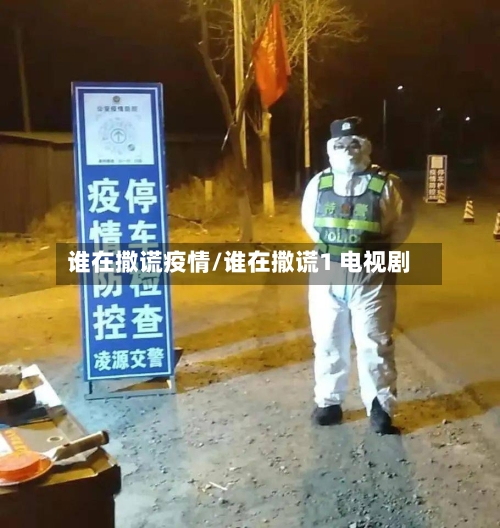 谁在撒谎疫情/谁在撒谎1 电视剧