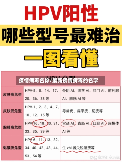 疫情病毒名称/最新疫情病毒的名字