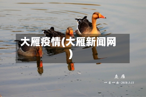 大雁疫情(大雁新闻网)