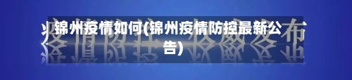 锦州疫情如何(锦州疫情防控最新公告)