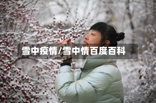 雪中疫情/雪中情百度百科