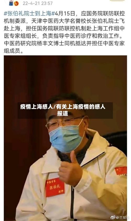 疫情上海感人/有关上海疫情的感人报道