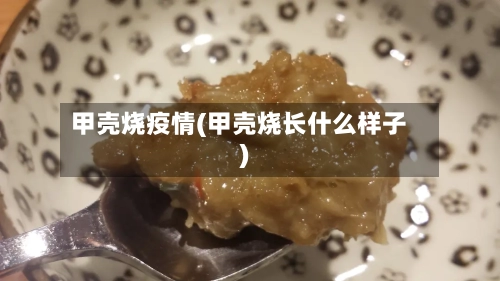 甲壳烧疫情(甲壳烧长什么样子)