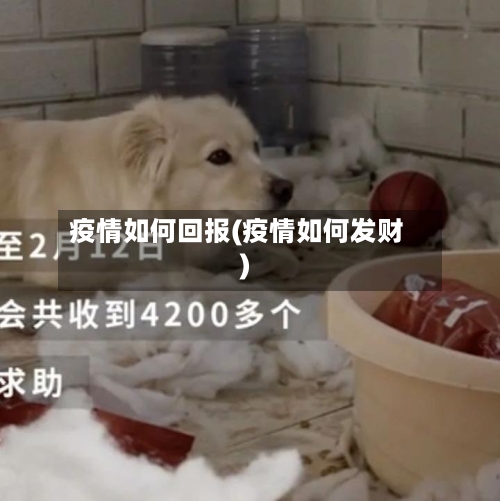 疫情如何回报(疫情如何发财)
