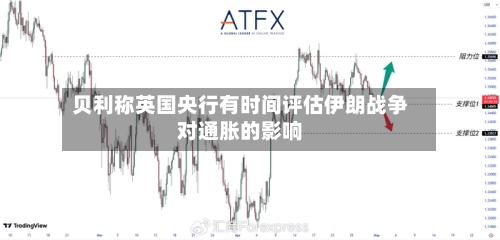 贝利称英国央行有时间评估伊朗战争对通胀的影响