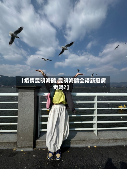 【疫情昆明海鸥,昆明海鸥会带新冠病毒吗?】