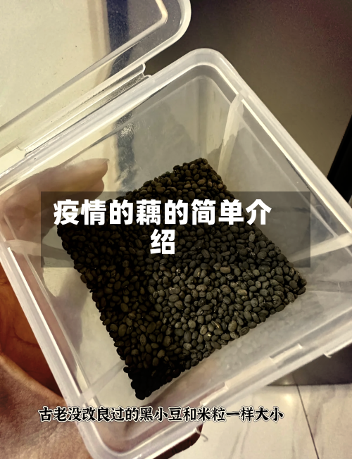 疫情的藕的简单介绍