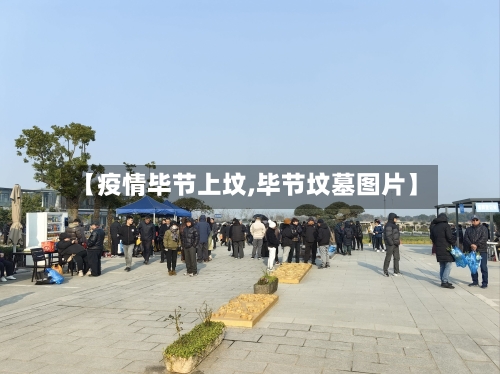 【疫情毕节上坟,毕节坟墓图片】