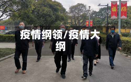疫情纲领/疫情大纲