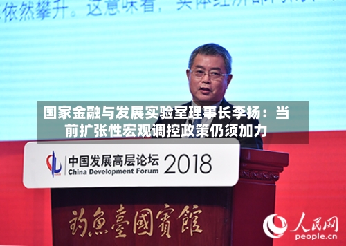 国家金融与发展实验室理事长李扬：当前扩张性宏观调控政策仍须加力