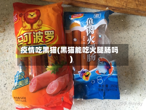 疫情吃黑猫(黑猫能吃火腿肠吗)