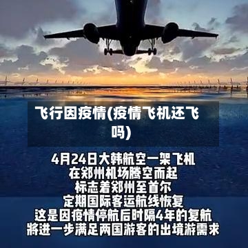 飞行因疫情(疫情飞机还飞吗)