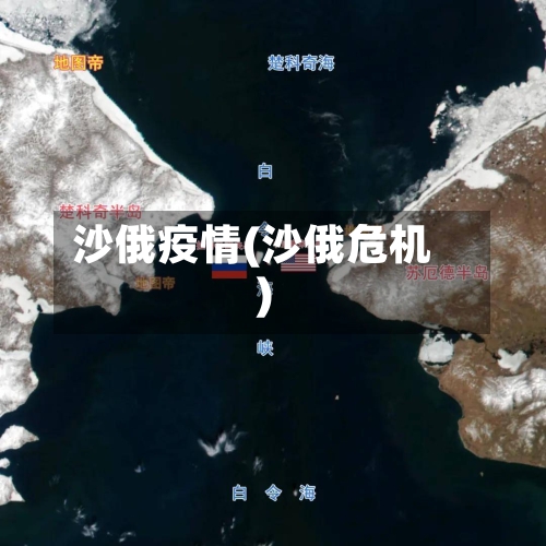 沙俄疫情(沙俄危机)