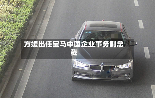 方媛出任宝马中国企业事务副总裁
