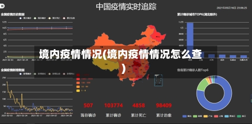 境内疫情情况(境内疫情情况怎么查)