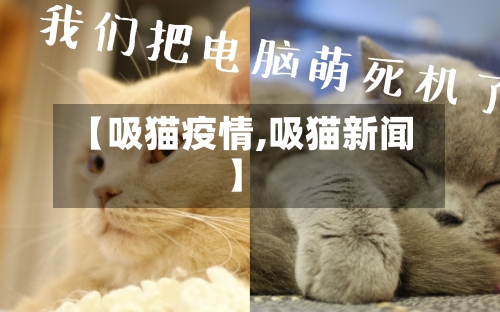 【吸猫疫情,吸猫新闻】